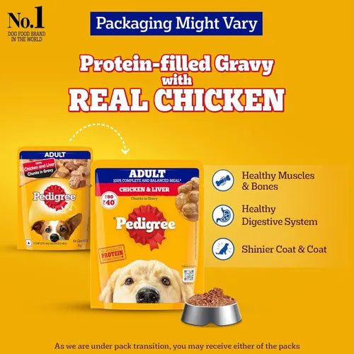 Pedigree Adult Chicken & Liver Chunks 130 gm | Wet Dog Food