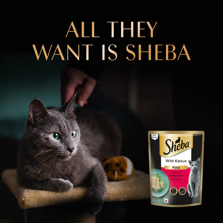 Sheba Katsuo Pate | Wet Cat Food
