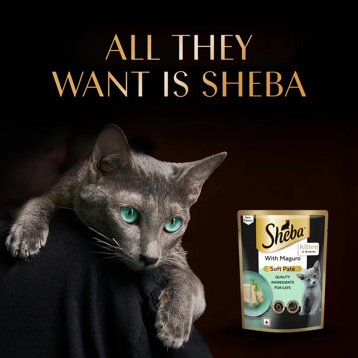 Sheba Kitten Maguro Pate | Wet Cat Food