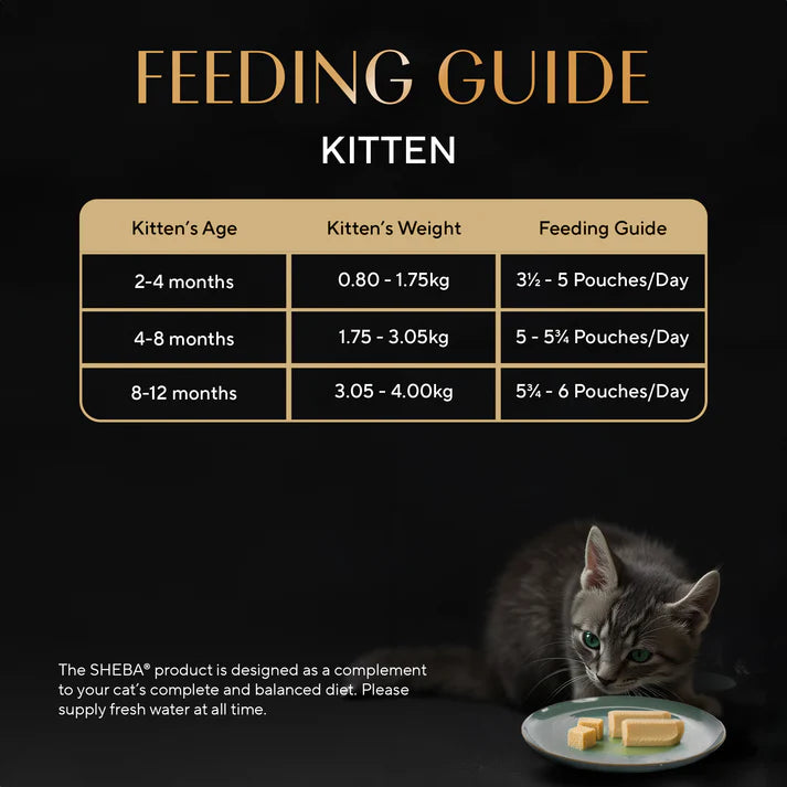Sheba Kitten Maguro Pate | Wet Cat Food