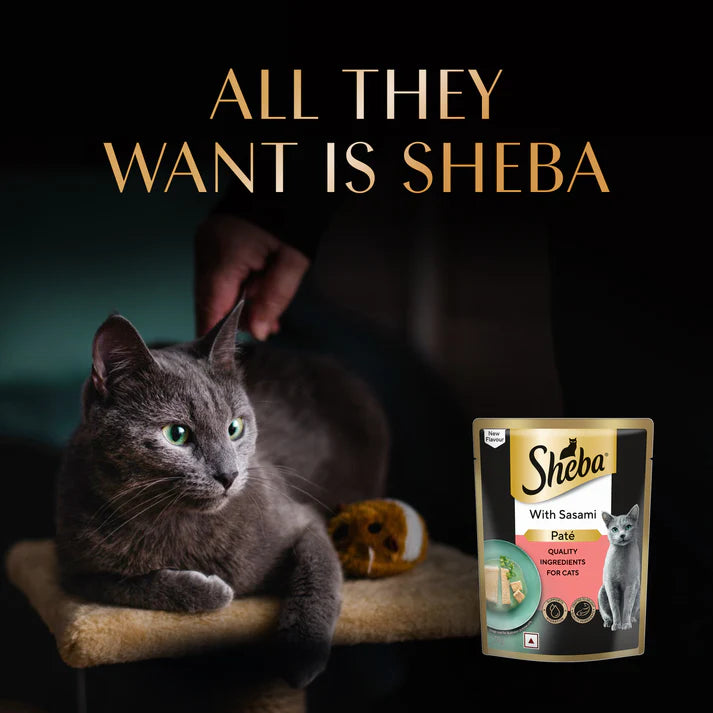 Sheba Sasami Pate | Wet Cat Food
