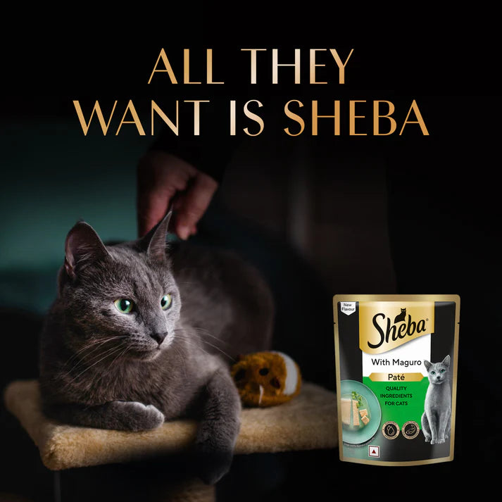 Sheba Maguro Pate | Wet Cat Food