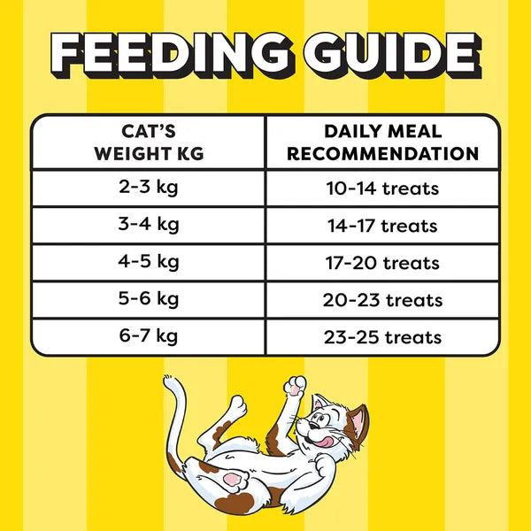 Temptations MixUps Chicken & Salmon Flavour | Dry Cat Treats