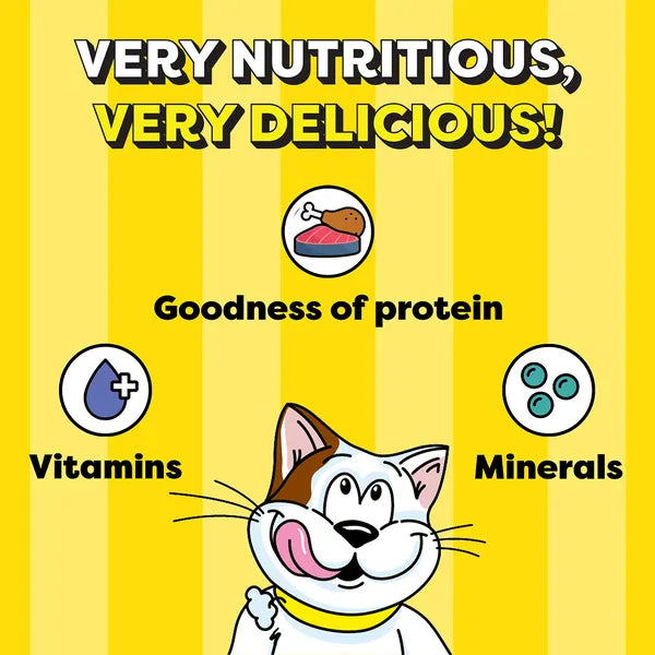 Temptations MixUps Chicken & Salmon Flavour | Dry Cat Treats