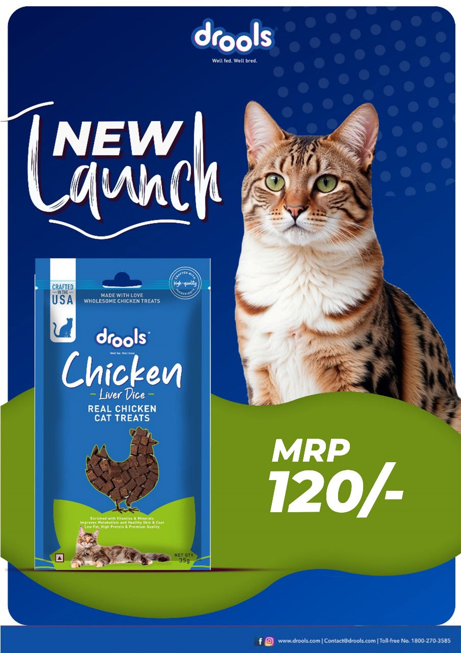 Drools Chicken Liver Dice | Dry Cat Treats