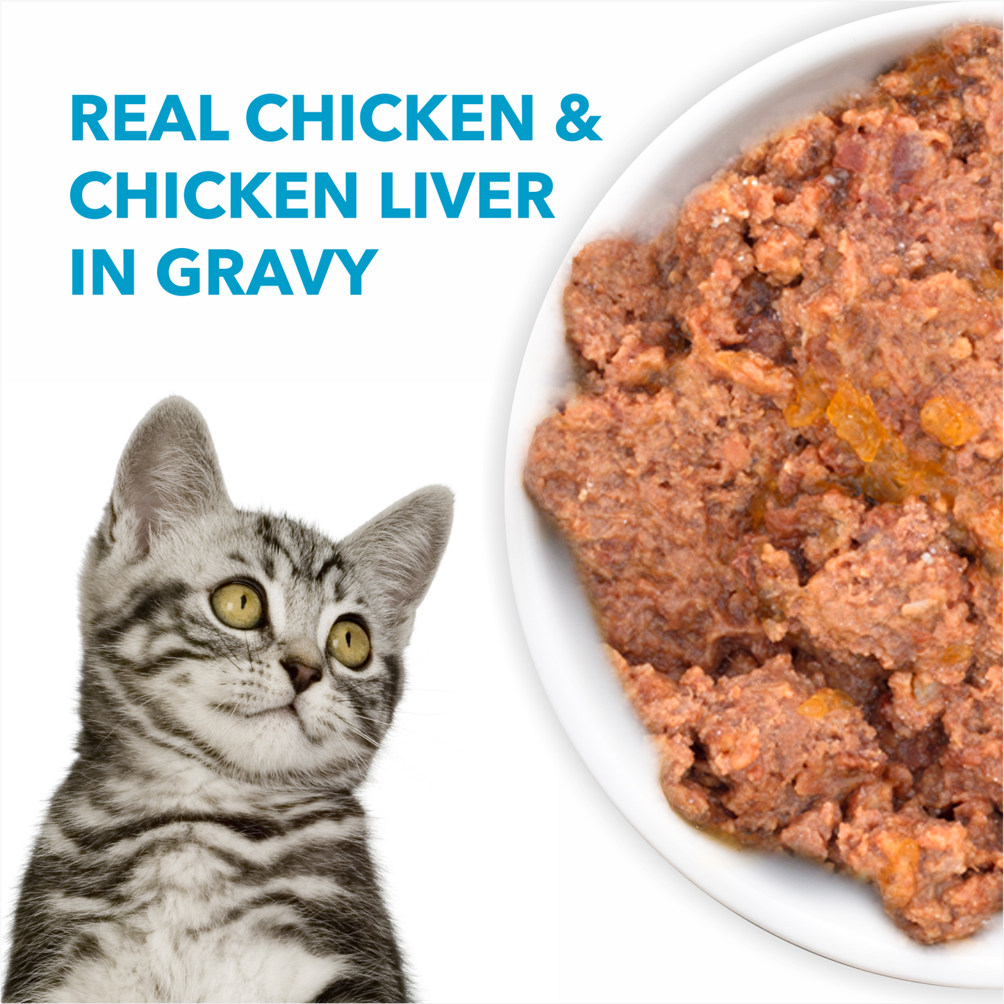 Purepet Cat Chicken & Liver Gravy | Wet Cat Food