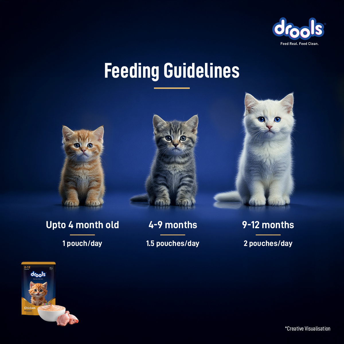 Drools Mousse Chicken Kitten - 80 gm | Wet Cat Food