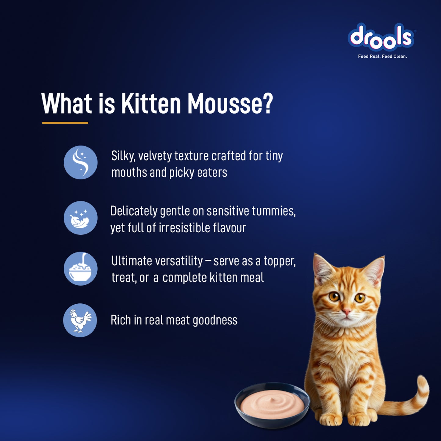Drools Mousse Ocean Fish Kitten - 80 gm | Wet Cat Food