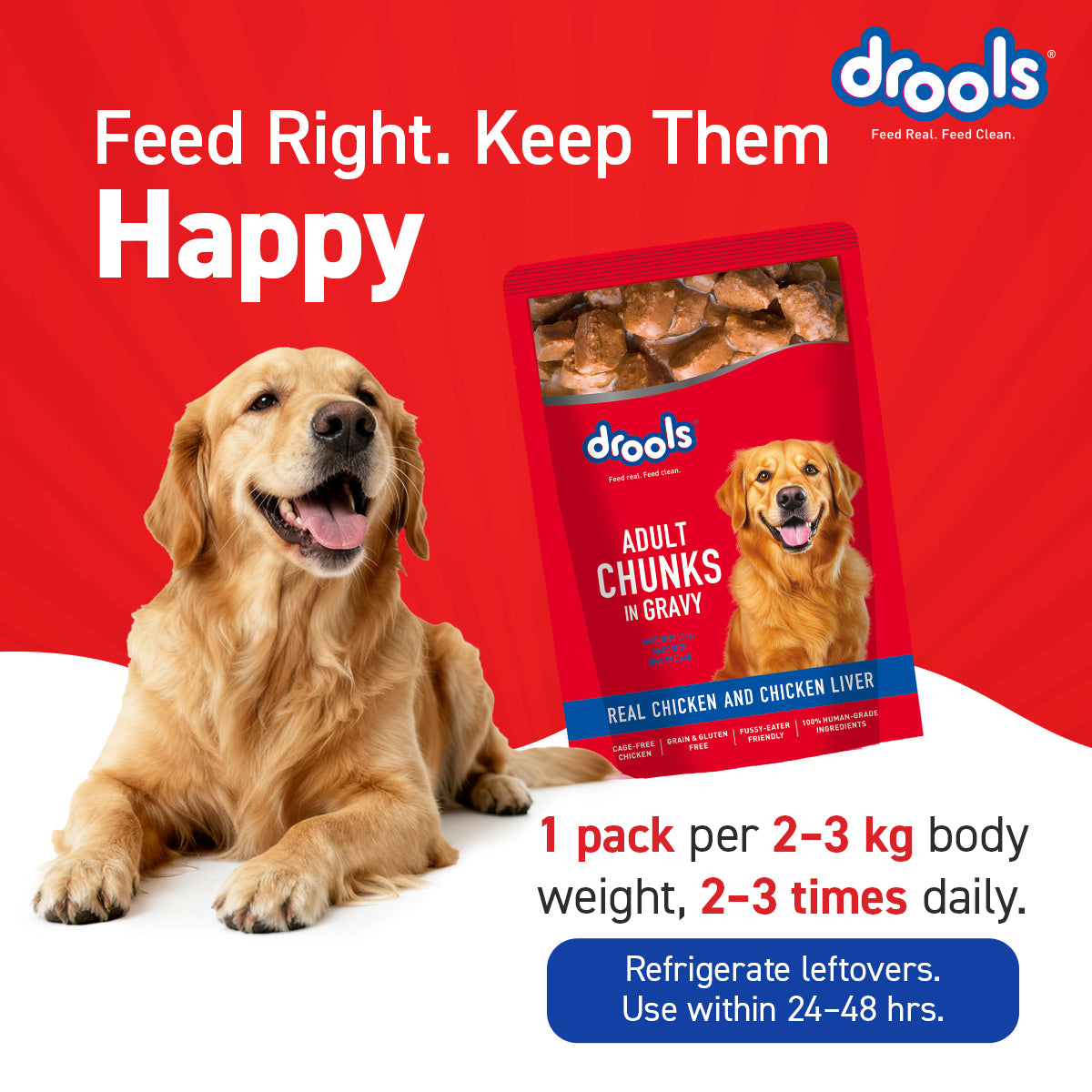 Drools Chicken & Liver Adult Gravy | Wet Dog Food