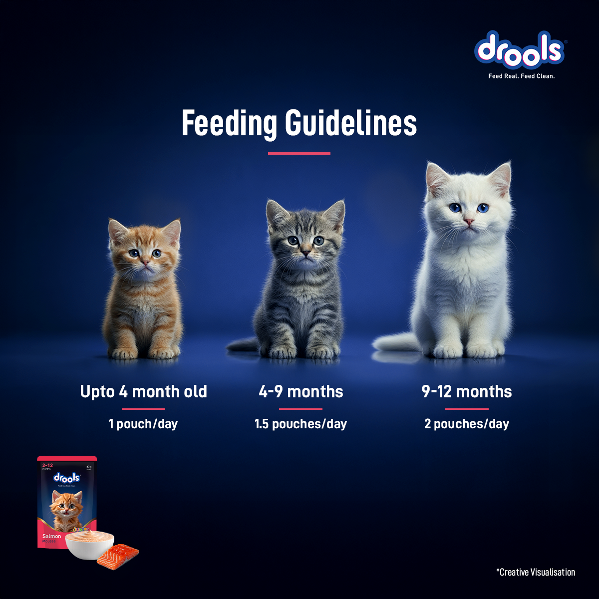 Drools Mousse Salmon Kitten - 80 gm | Wet Cat Food