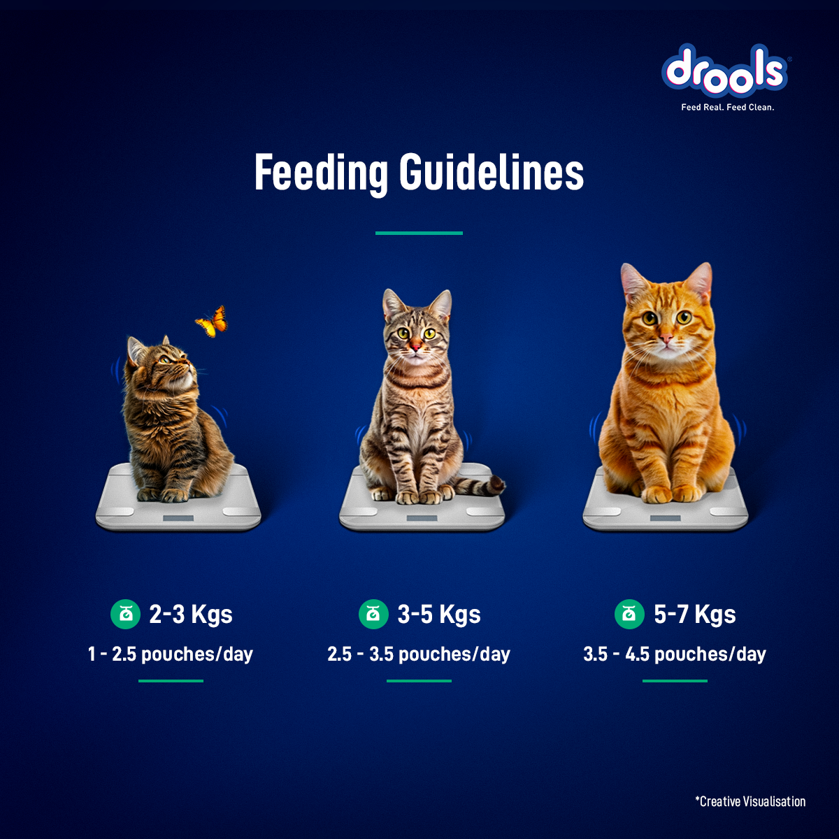 Drools Mousse Tuna - 80 gm | Wet Cat Food