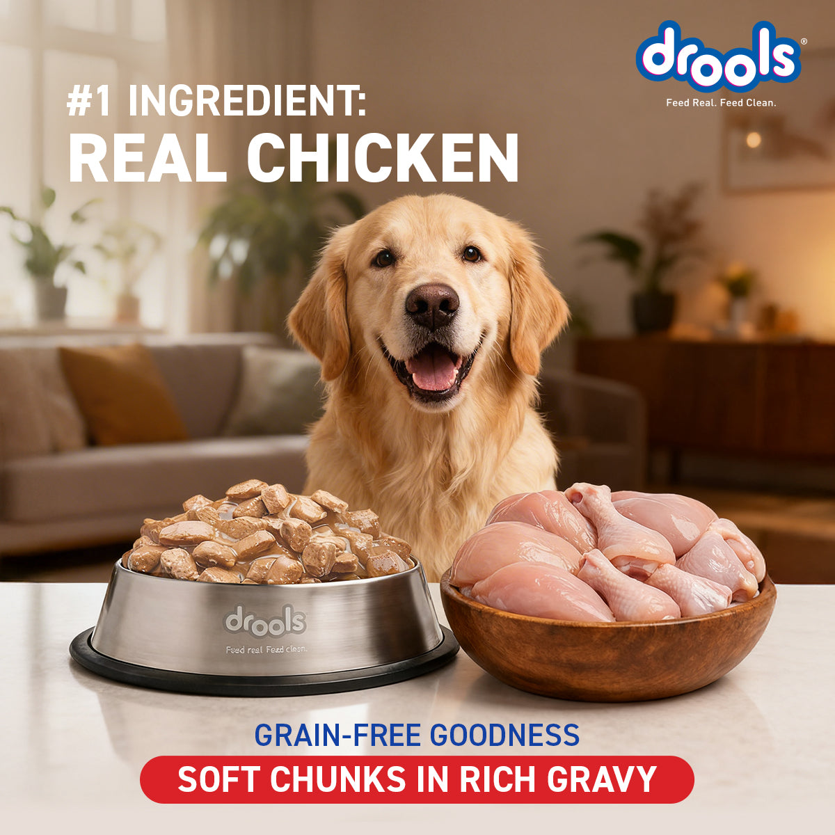 Drools Chicken & Liver Adult Gravy | Wet Dog Food