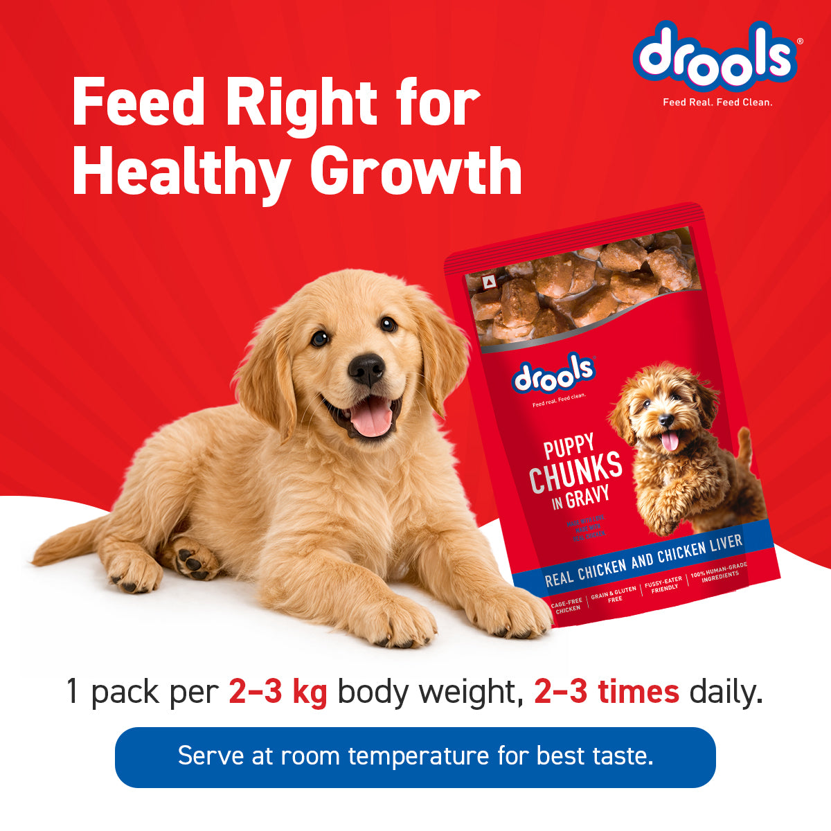 Drools Chicken & Liver Puppy Gravy | Wet Dog Food