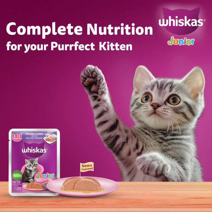 Whiskas Junior Mackerel Gravy | Wet Cat Food