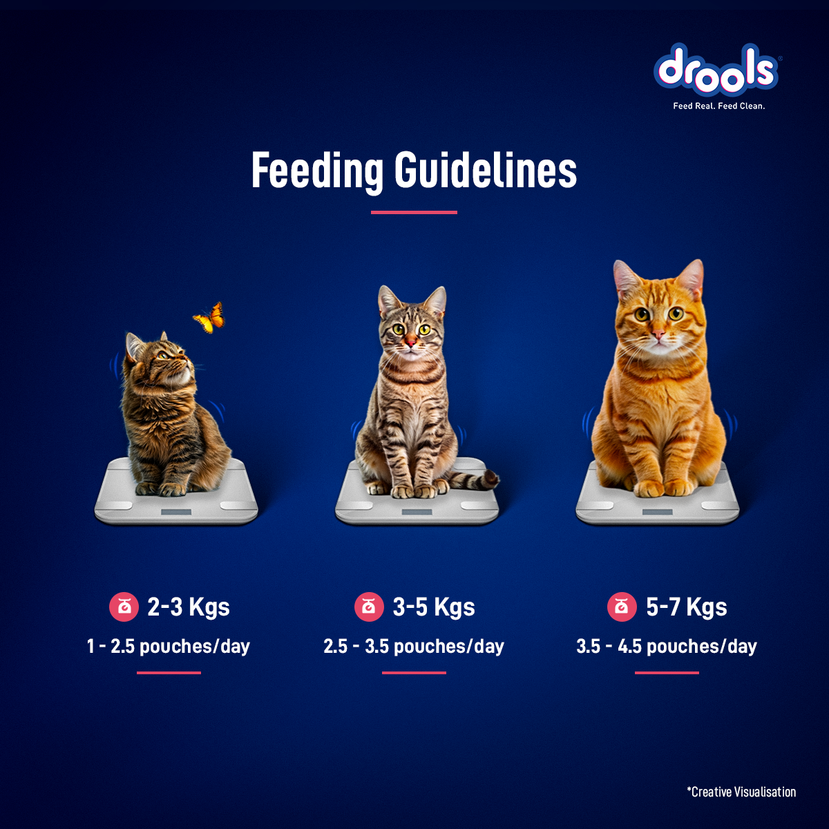 Drools Mousse Salmon - 80 gm | Wet Cat Food