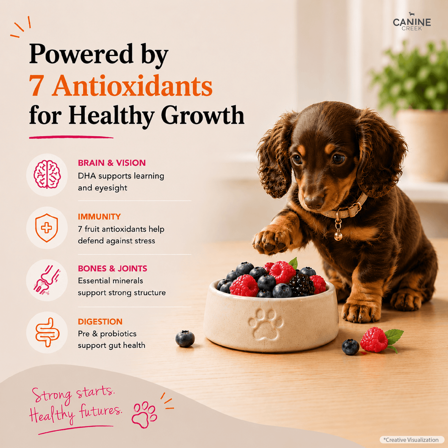 Canine Creek Puppy | Dry Dog Food