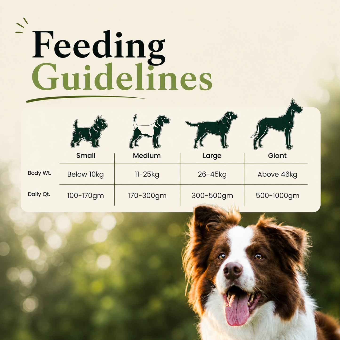 Canine Creek Adult | Dry Dog Food