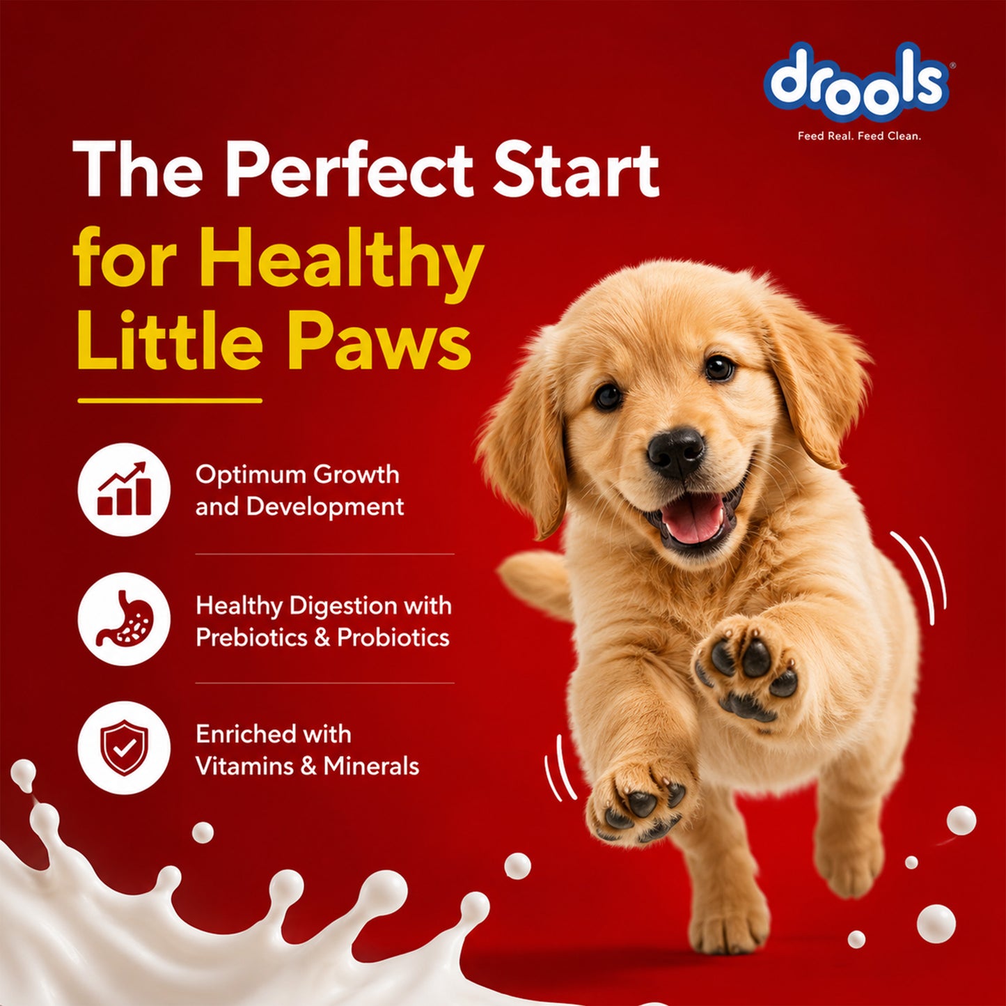 Drools Absolute Milk for Dogs | Pet Suppliment