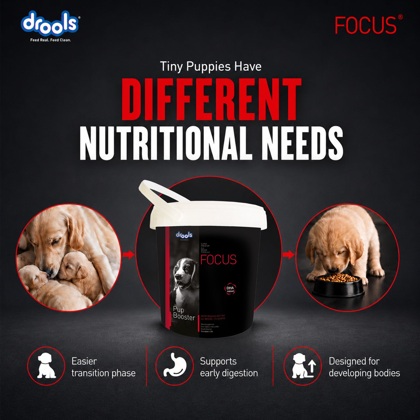 Drools Focus Pup Booster | Pet Suppliment