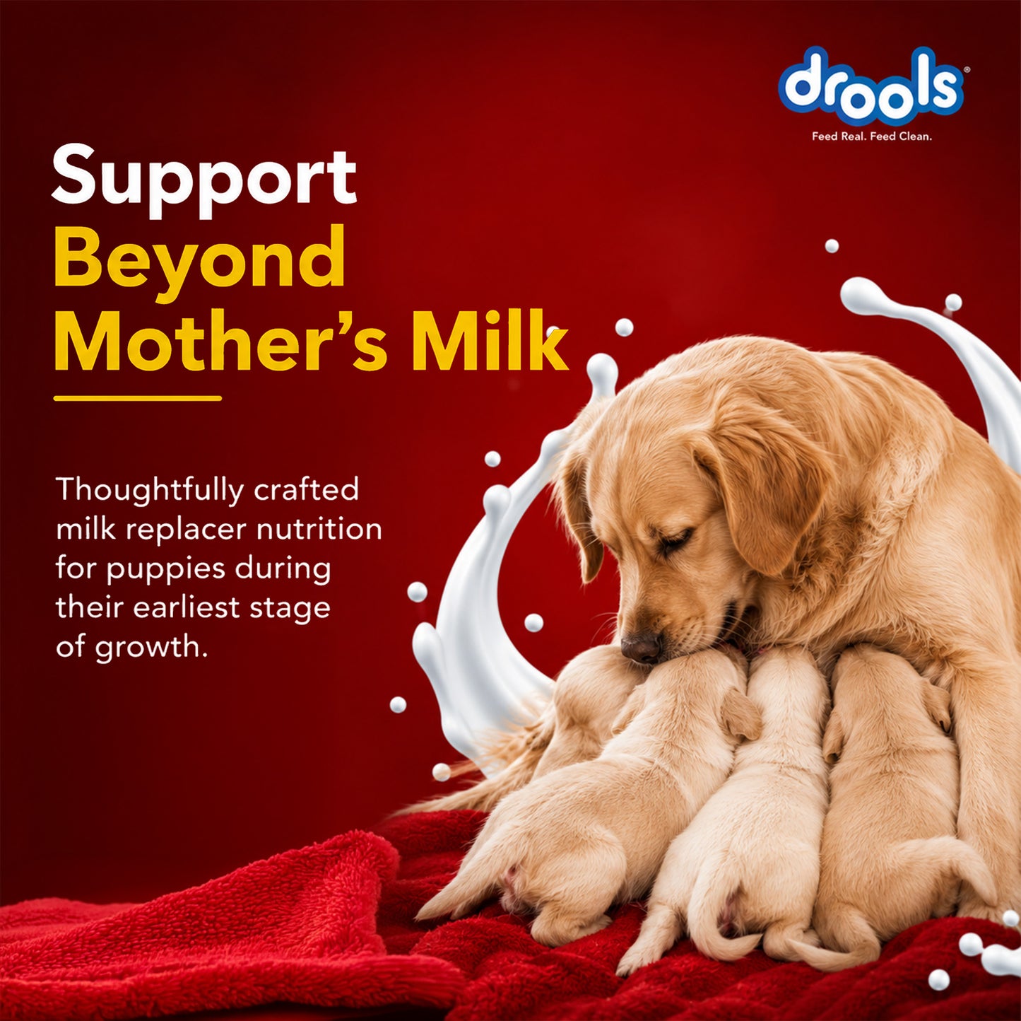 Drools Absolute Milk for Dogs | Pet Suppliment