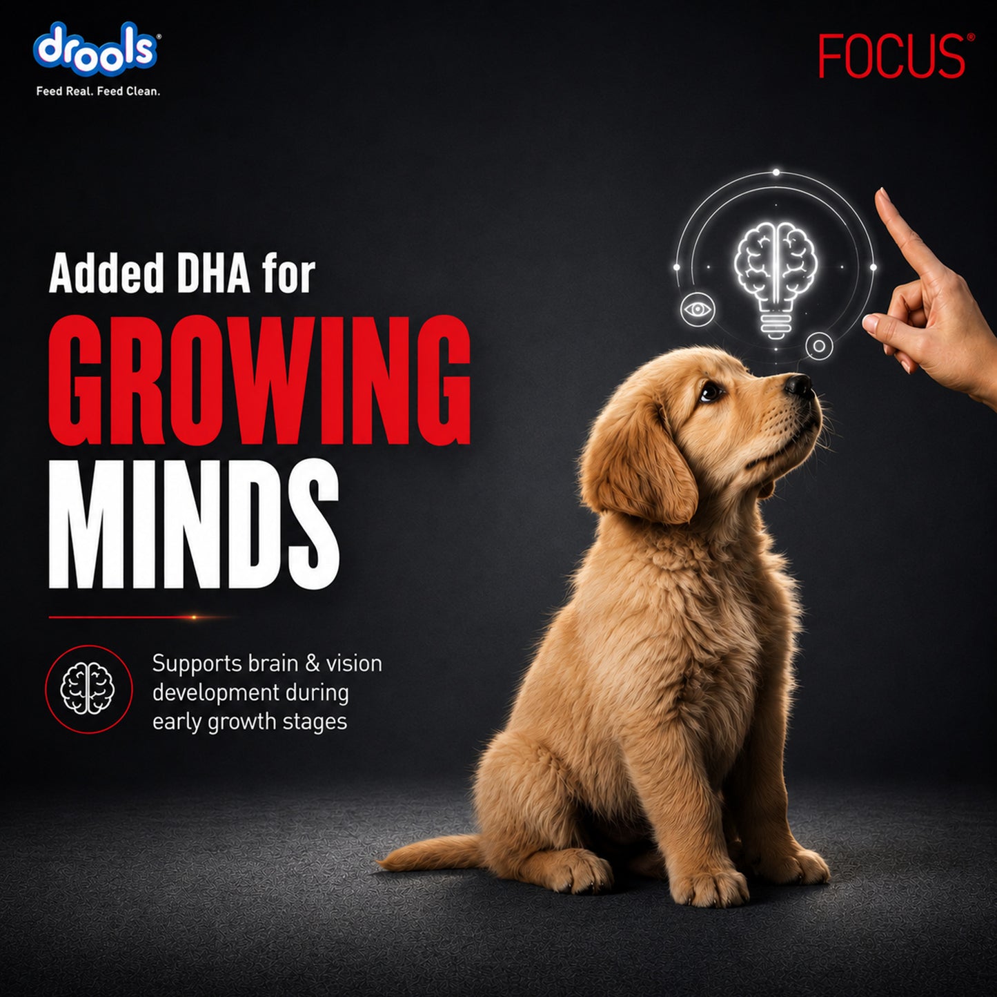 Drools Focus Pup Booster | Pet Suppliment