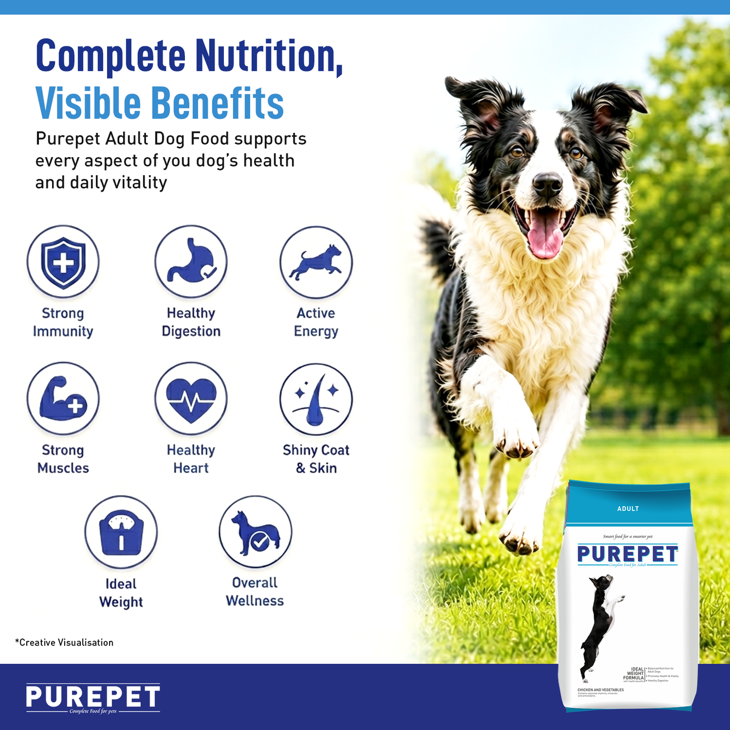 Purepet Adult Chicken & Vegetable | Dry Dog Food