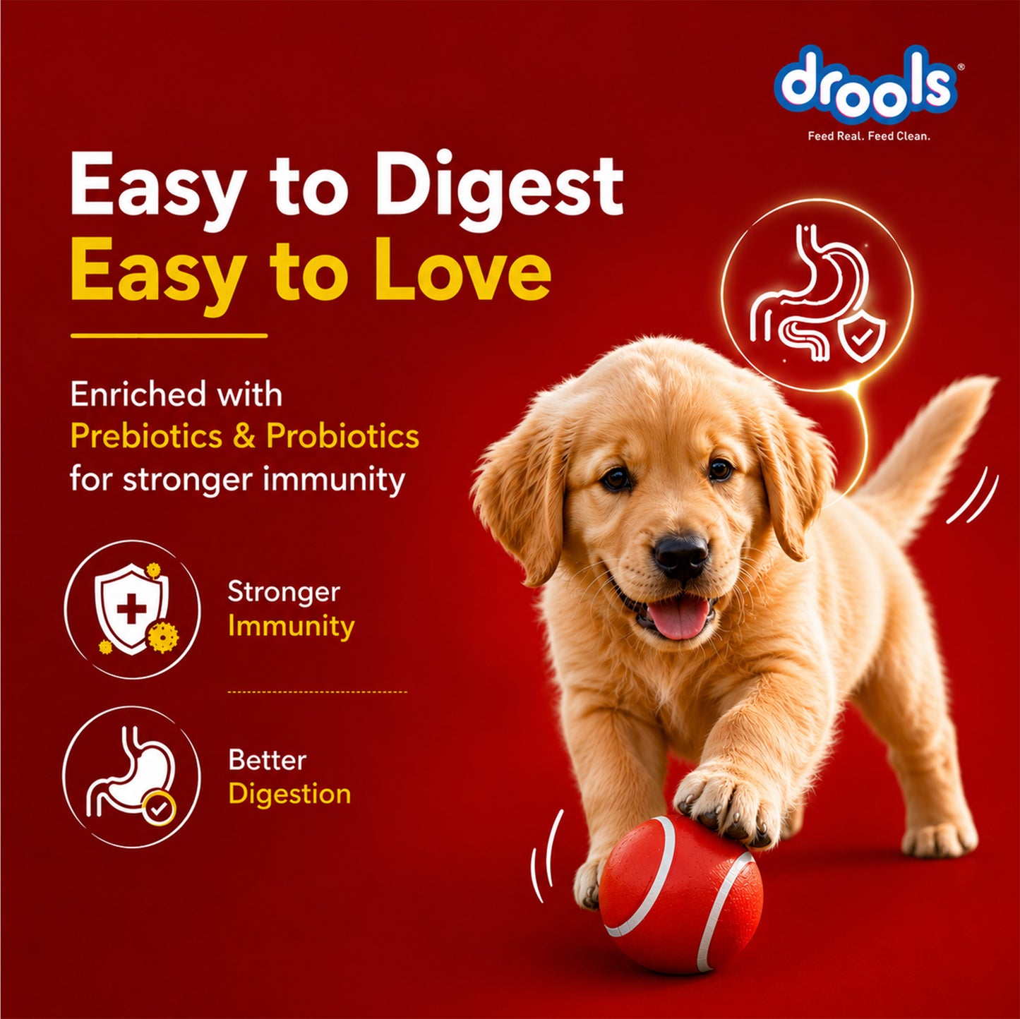 Drools Absolute Milk for Dogs | Pet Suppliment