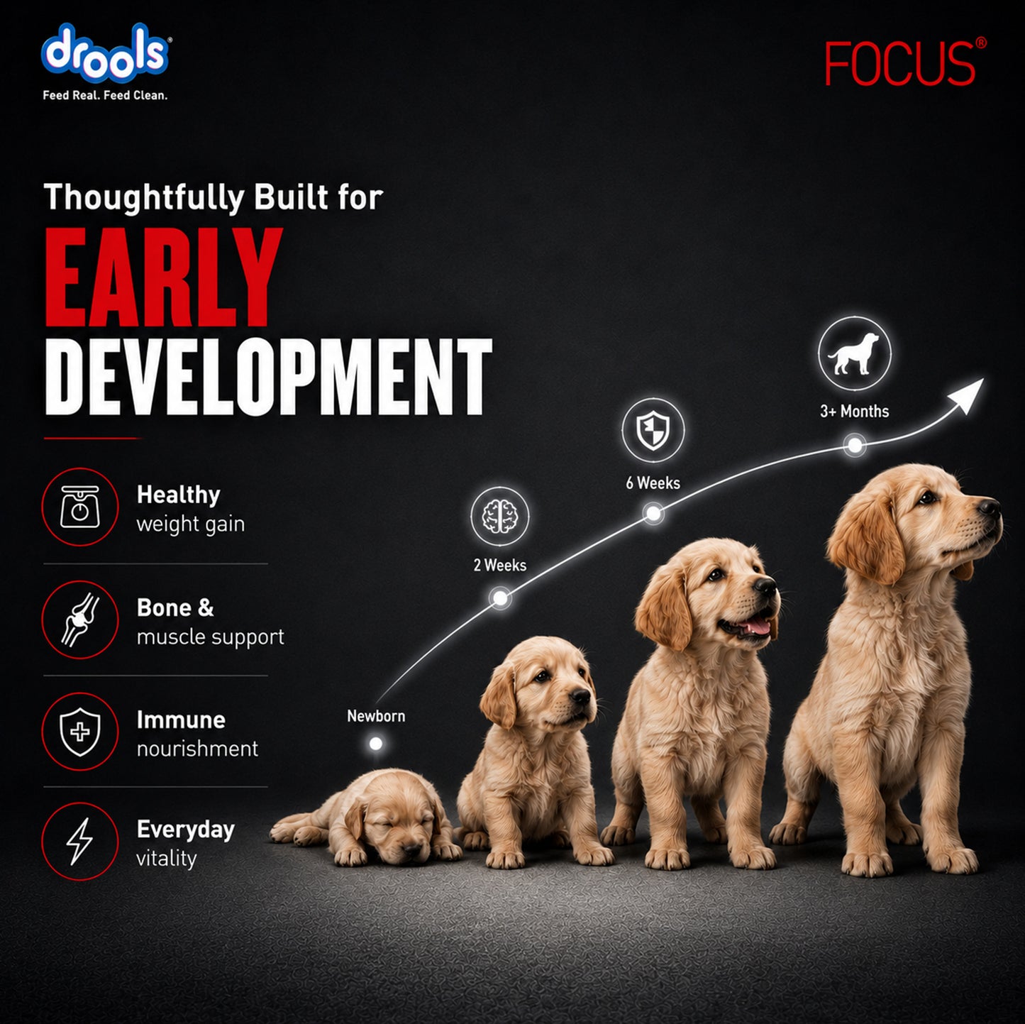 Drools Focus Pup Booster | Pet Suppliment