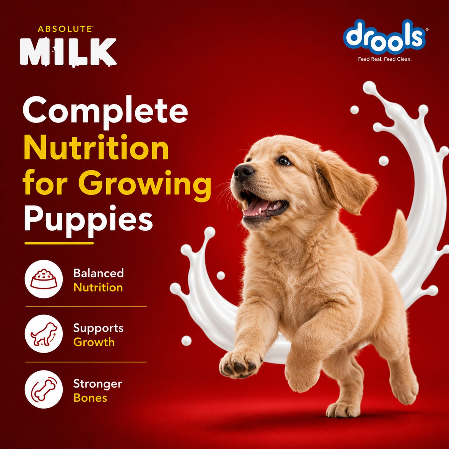Drools Absolute Milk for Dogs | Pet Suppliment