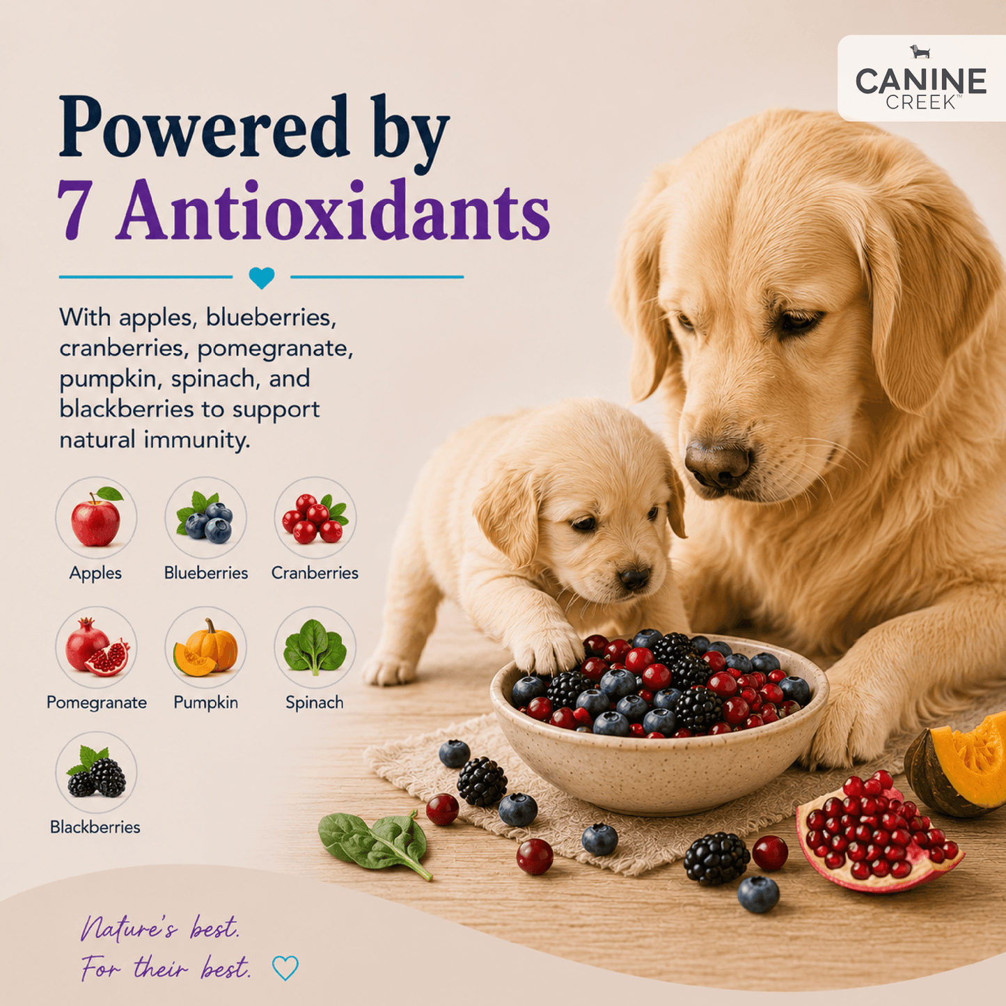 Canine Creek Starter | Dry Dog Food