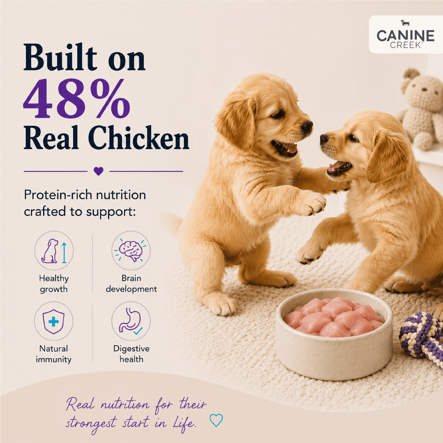 Canine Creek Starter | Dry Dog Food