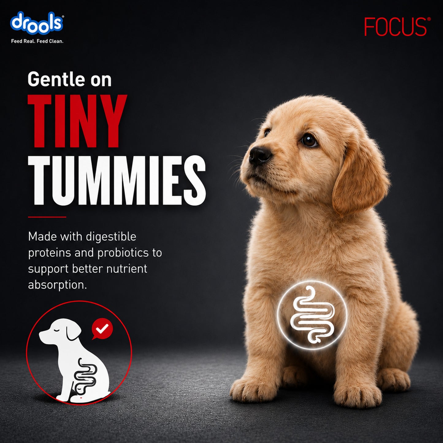 Drools Focus Pup Booster | Pet Suppliment
