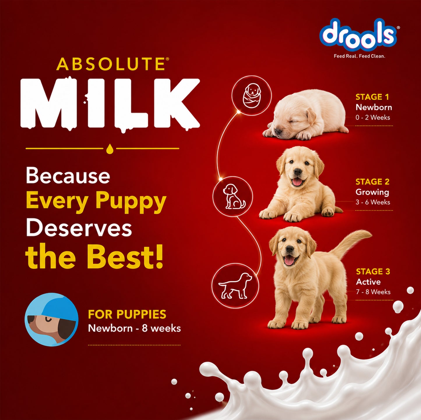 Drools Absolute Milk for Dogs | Pet Suppliment