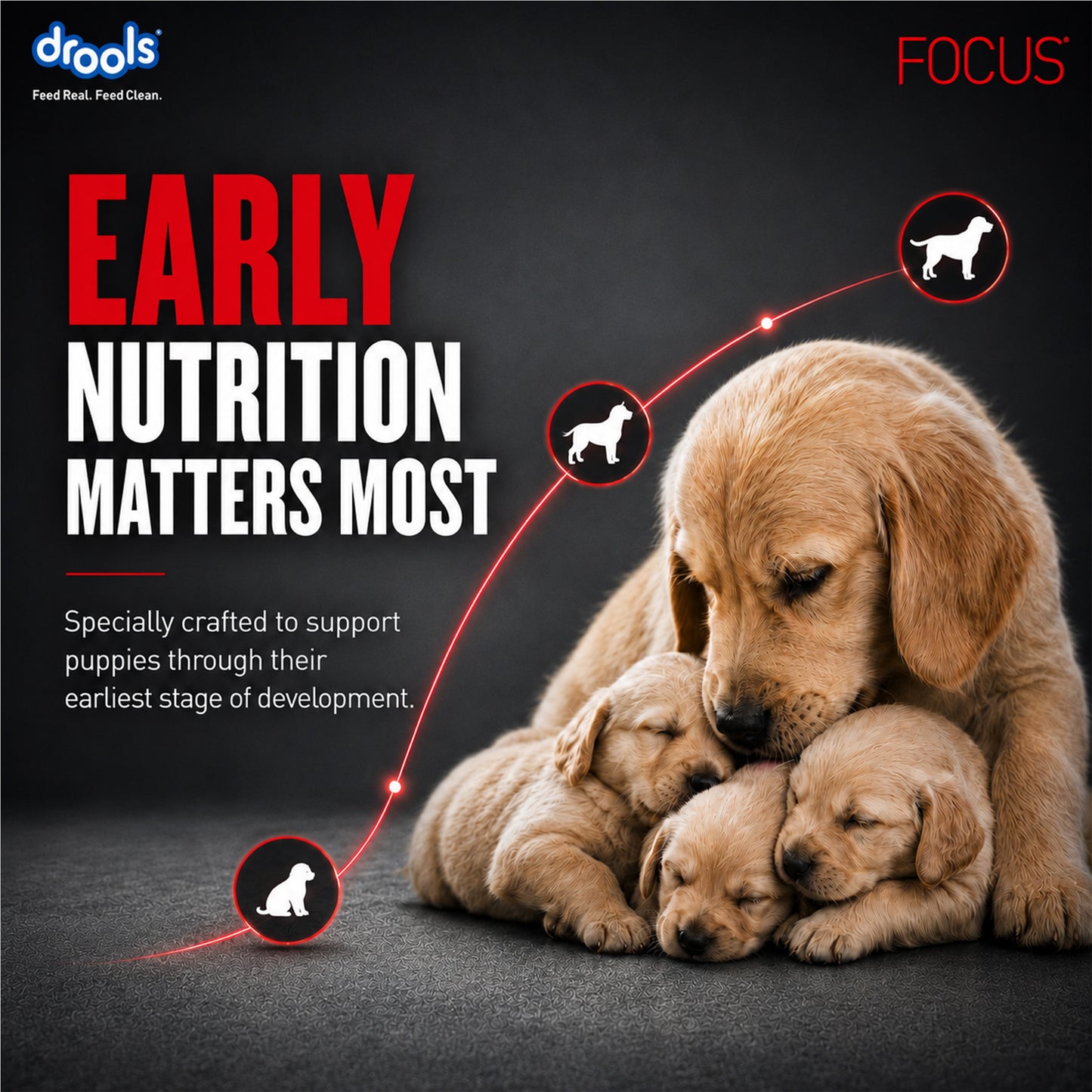 Drools Focus Pup Booster | Pet Suppliment