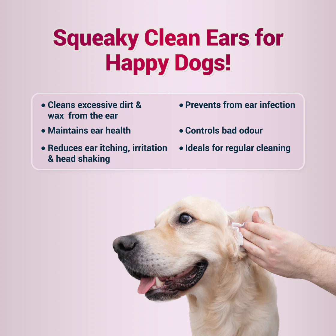 Natural Remedies Audiclean Ear Drops 90 ml | Pet Medicines