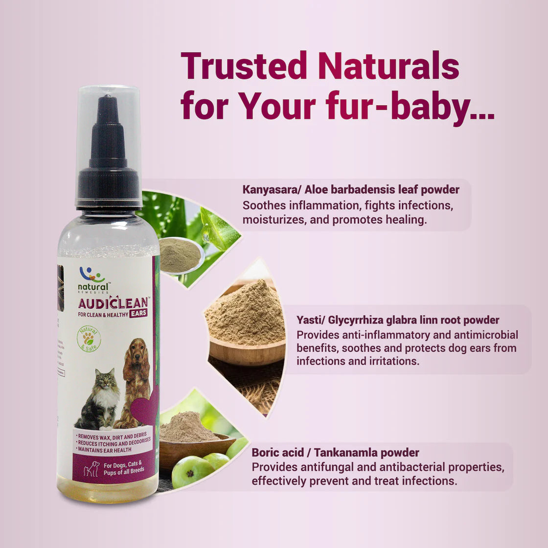 Natural Remedies Audiclean Ear Drops 90 ml | Pet Medicines