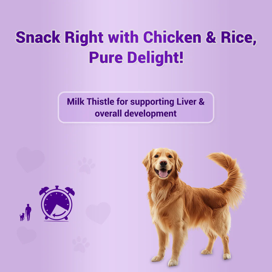 Natural Remedies Treat O'Clock Chicken & Rice Strip | Soft Dog Treats