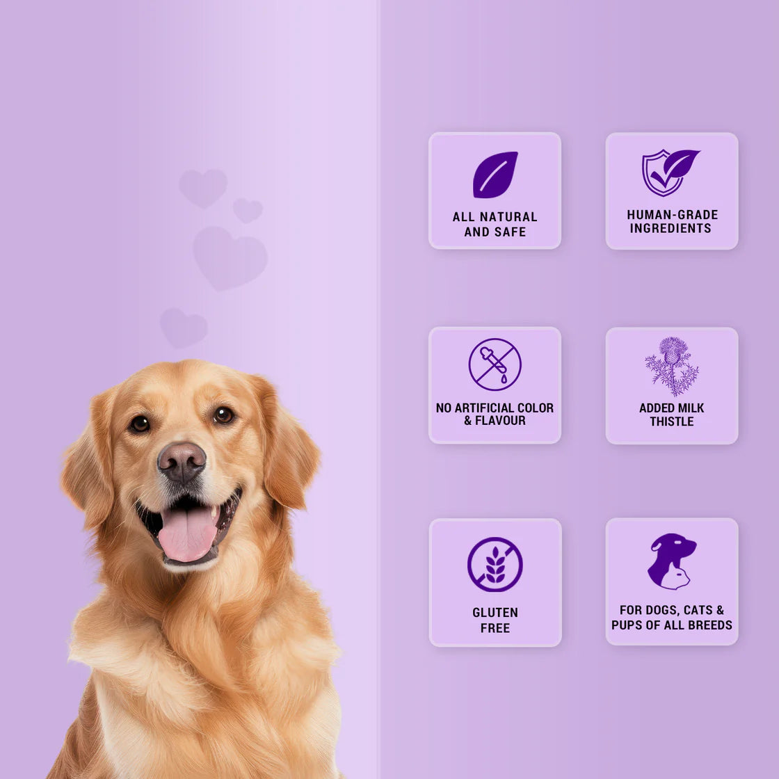 Natural Remedies Treat O'Clock Chicken & Rice Strip | Soft Dog Treats