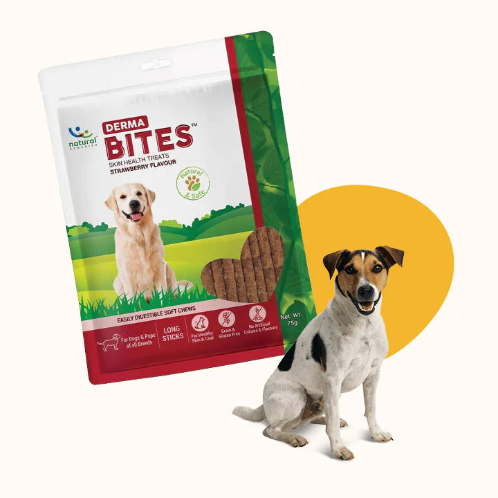 Natural Remedies Derma Bites Strawberry Flavor | Soft Dog Treats