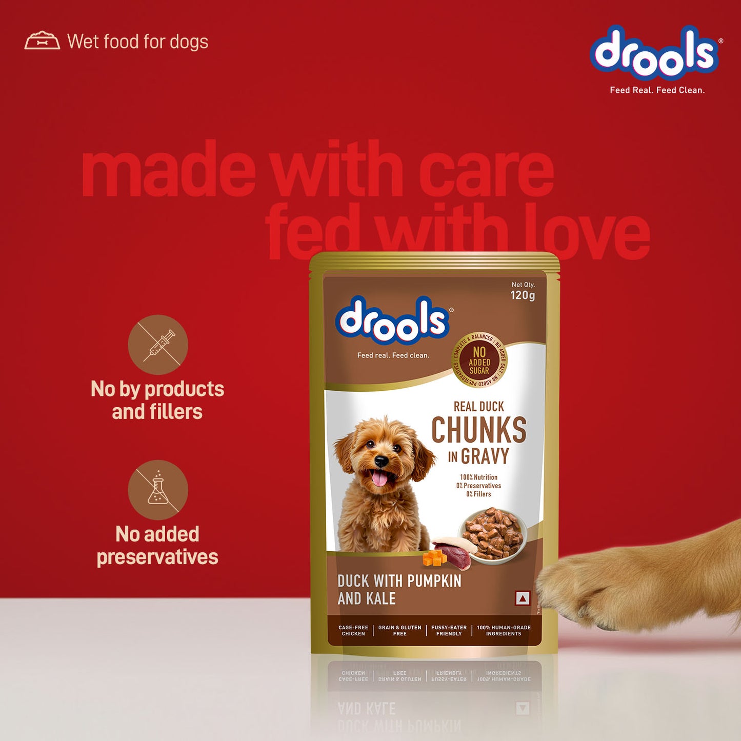 Drools Adult Duck with Pumpkin & Kale Gravy | Wet Dog Food