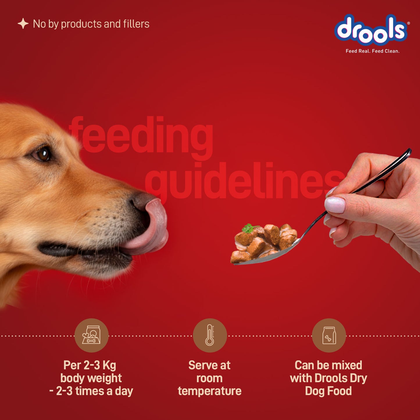 Drools Adult Duck with Pumpkin & Kale Gravy | Wet Dog Food
