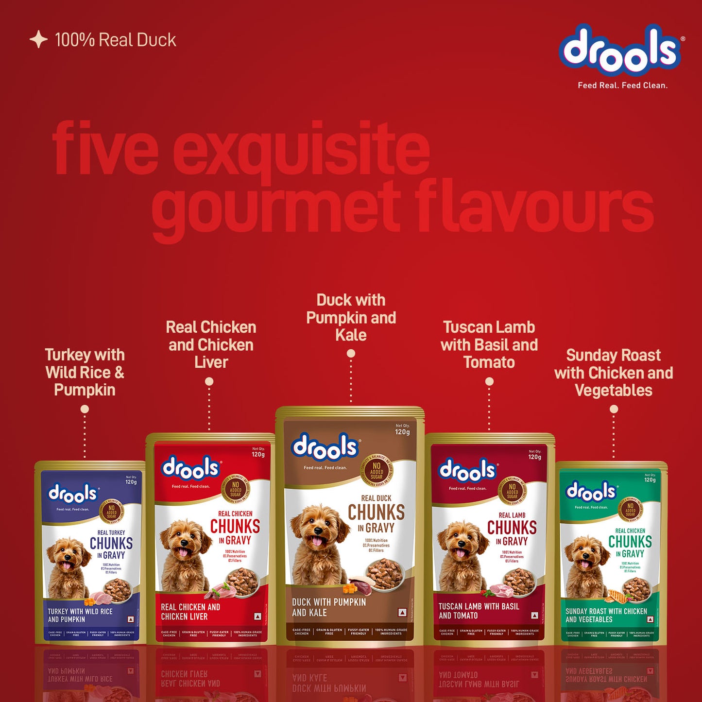 Drools Adult Duck with Pumpkin & Kale Gravy | Wet Dog Food