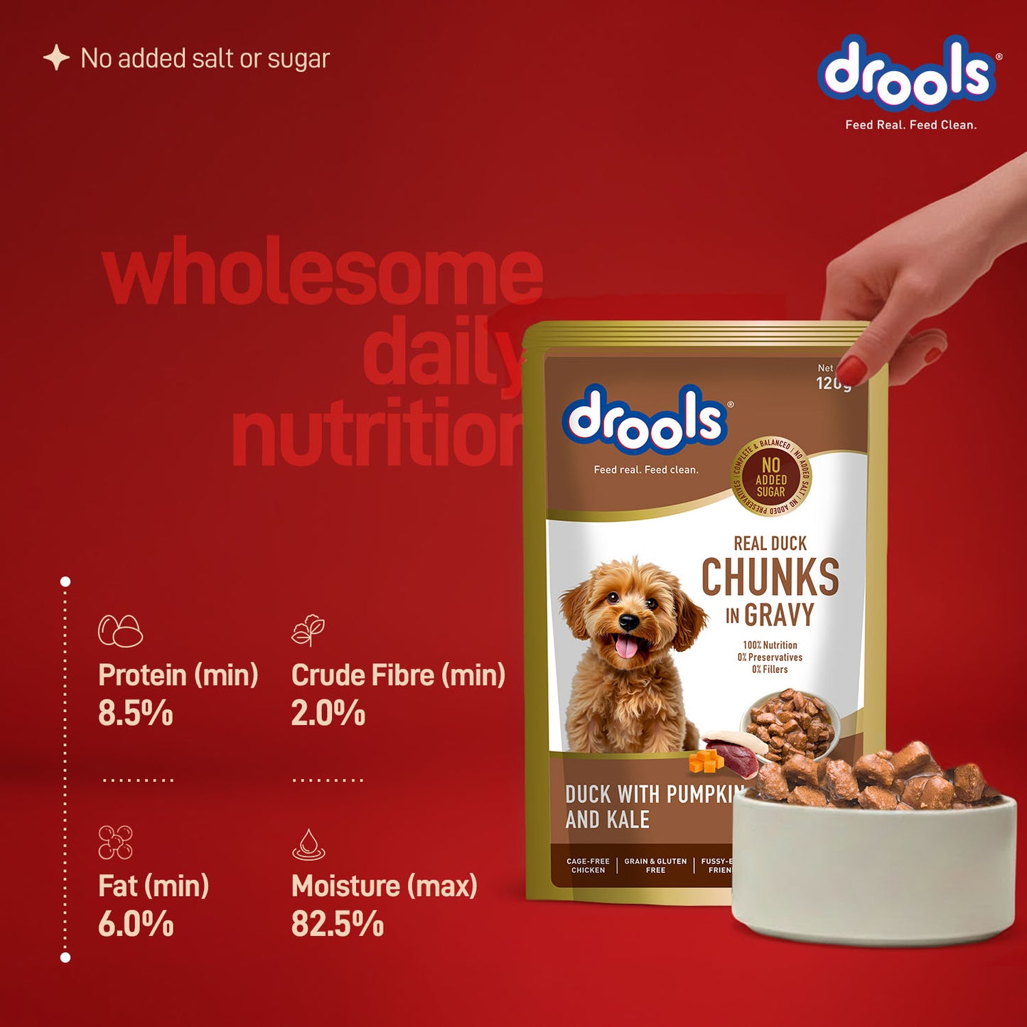 Drools Adult Duck with Pumpkin & Kale Gravy | Wet Dog Food