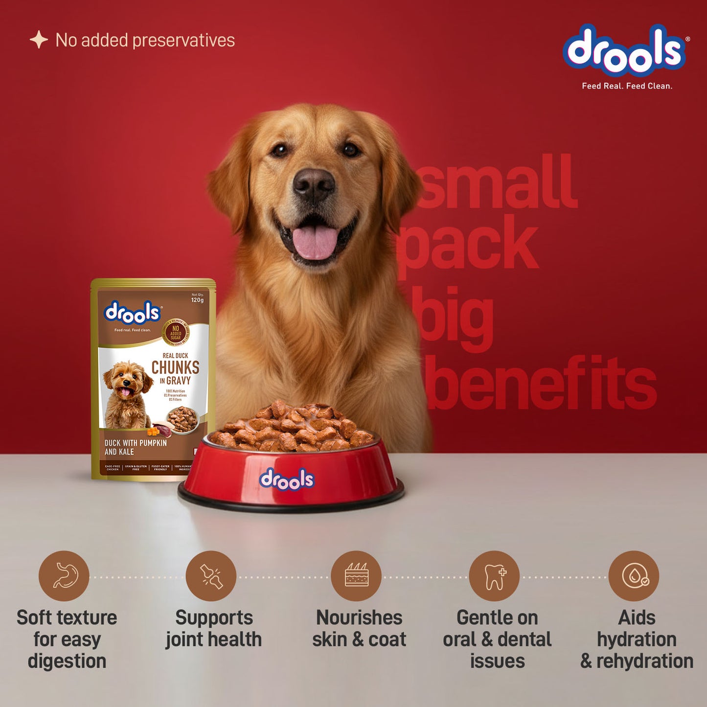 Drools Adult Duck with Pumpkin & Kale Gravy | Wet Dog Food