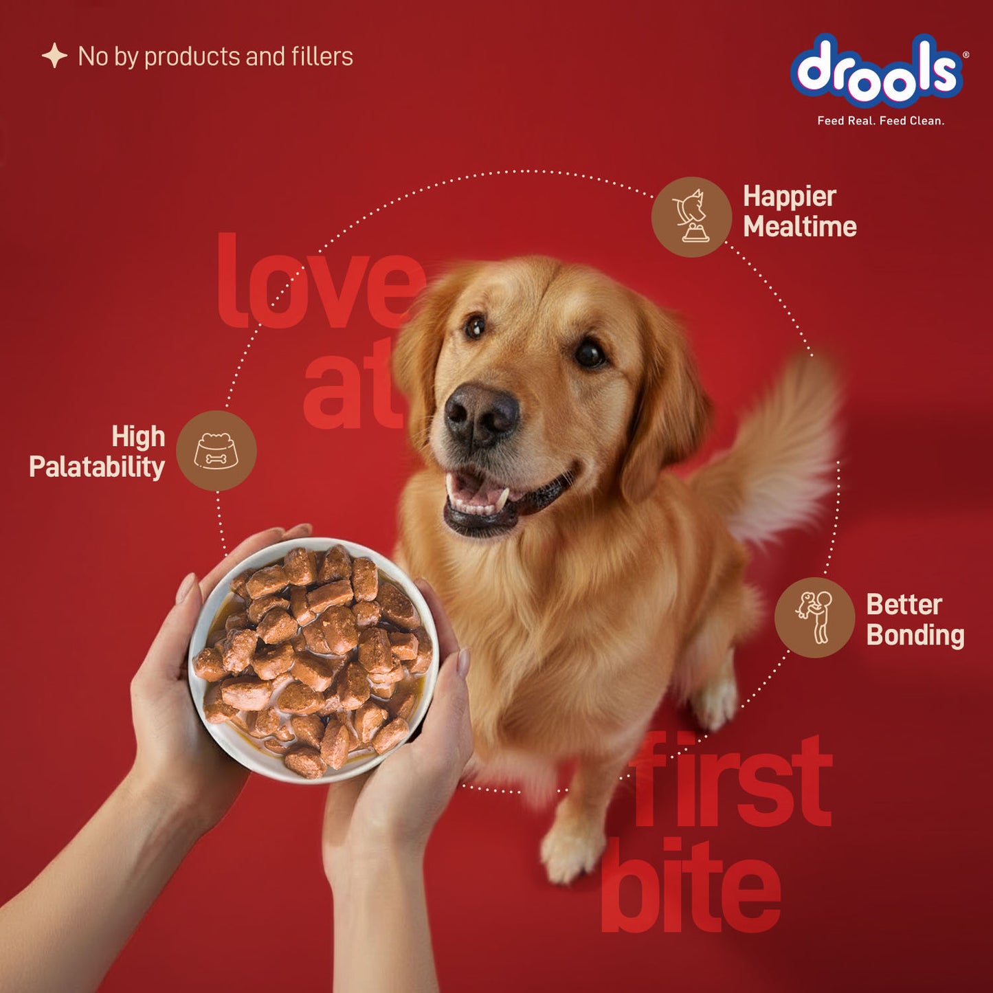 Drools Adult Duck with Pumpkin & Kale Gravy | Wet Dog Food