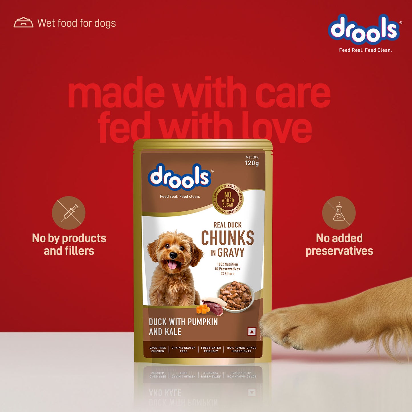 Drools Adult Duck with Pumpkin & Kale Gravy | Wet Dog Food