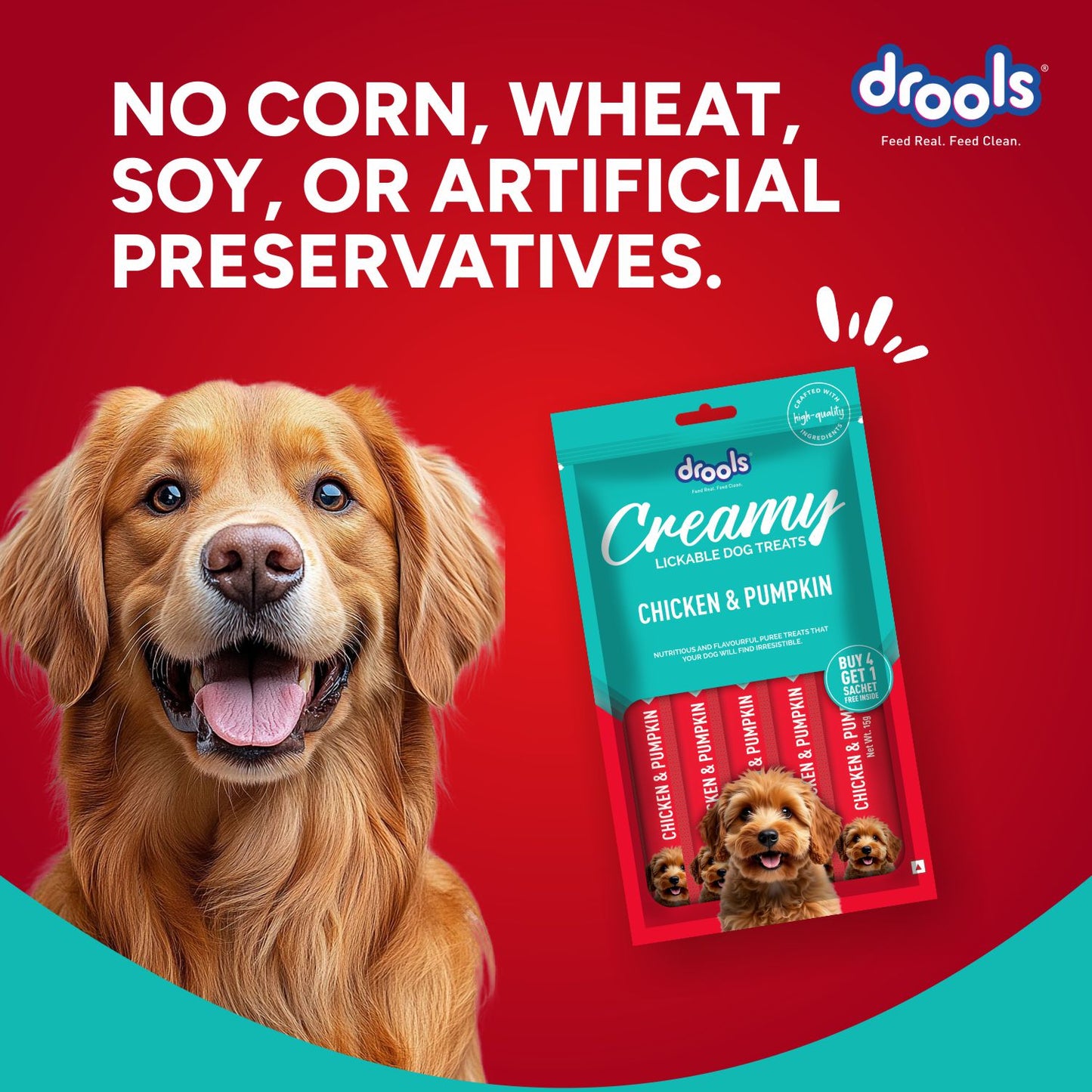 Drools Chicken & Pumpkin Creamy Treat | Wet Dog Food
