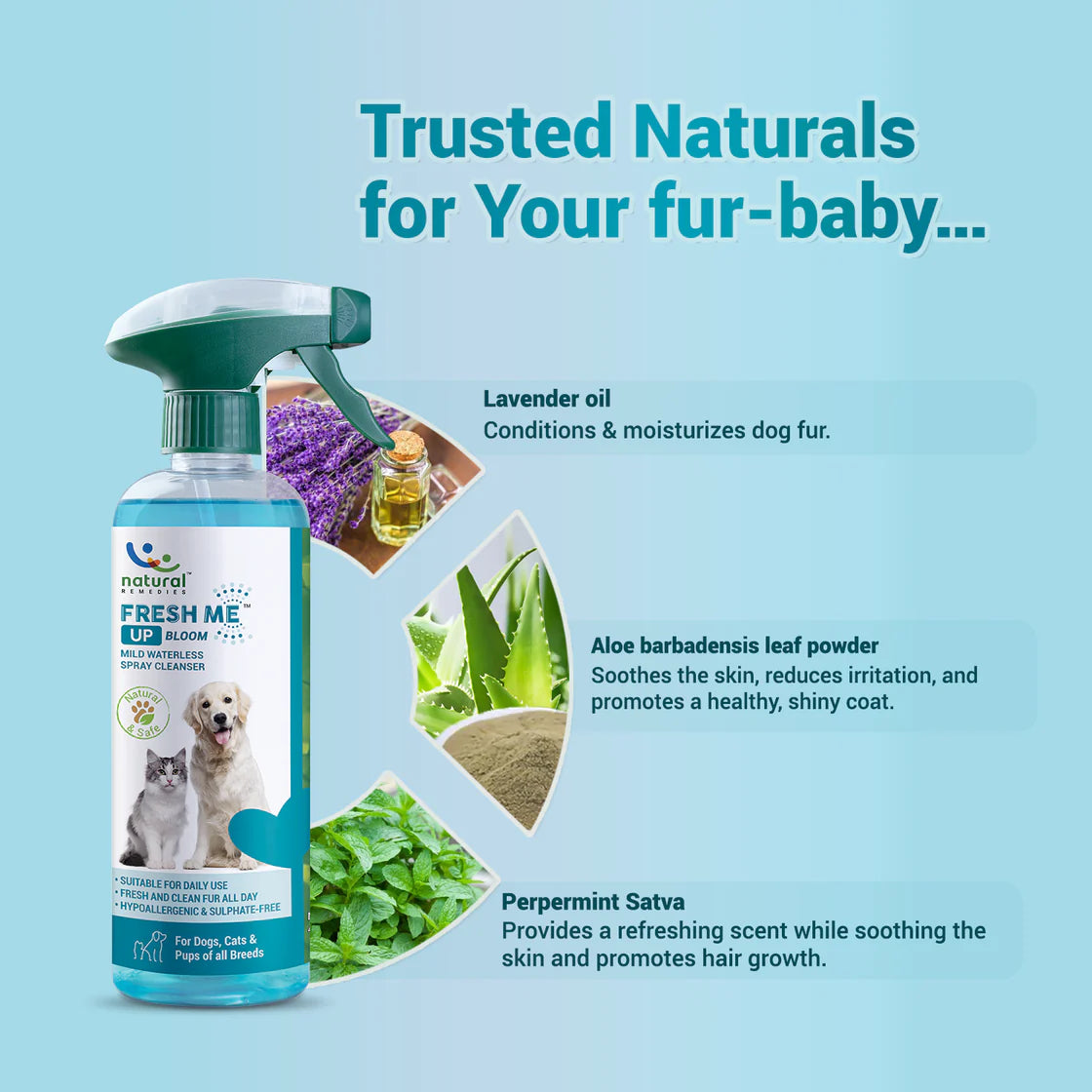Natural Remedies Fresh Me Up Bloom Waterless Pet Shampoo (Lavender) | Pet Grooming Supplies