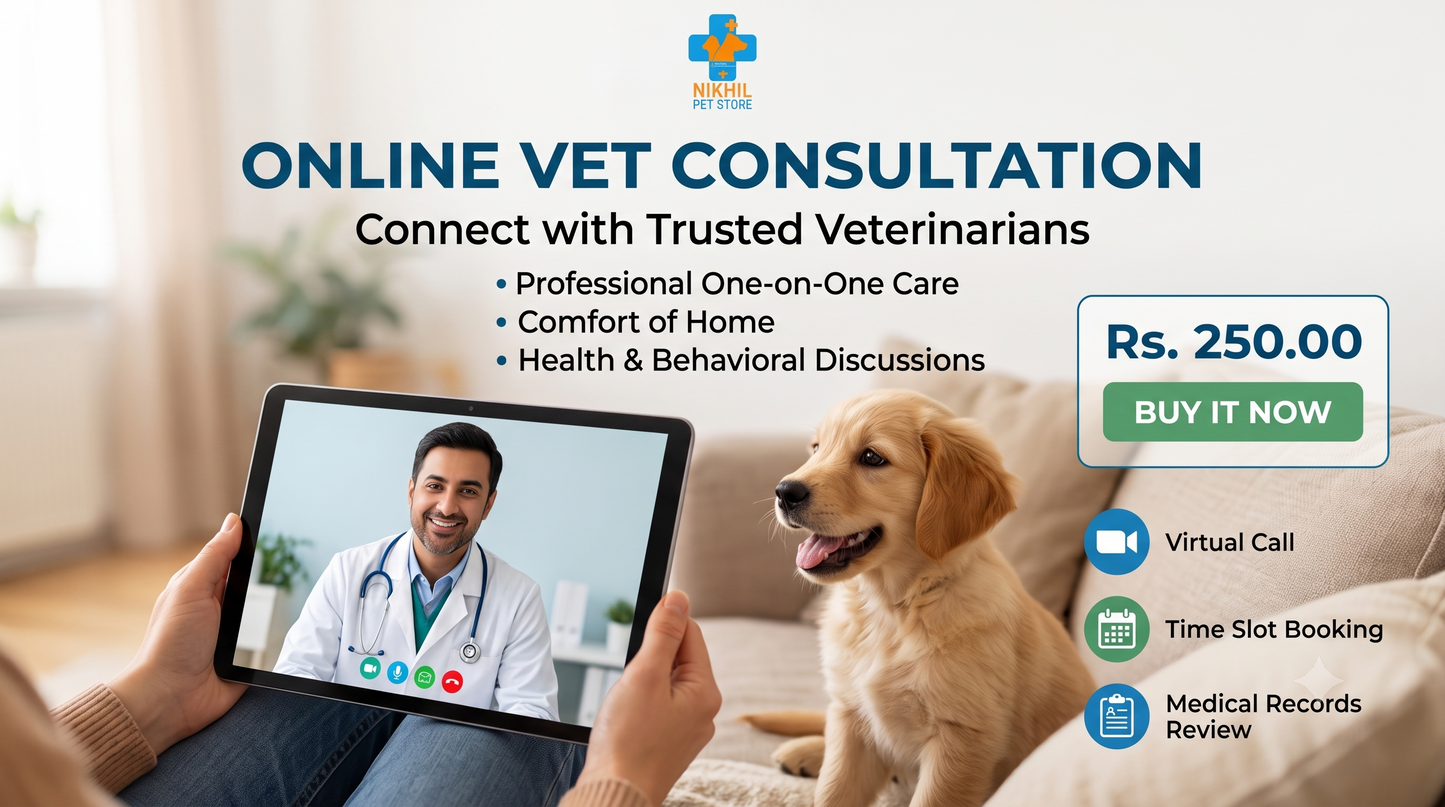 Online Vet Consultation Session