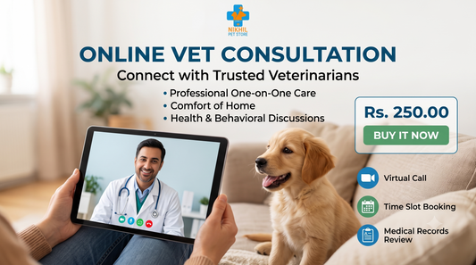 Online Vet Consultation Session